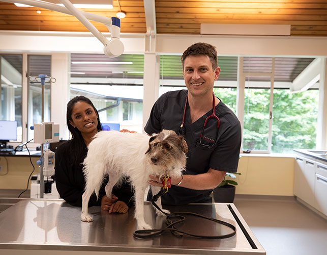 Everhart Veterinary Medicine & Animal Hospital | Baltimore, Pasadena, MD